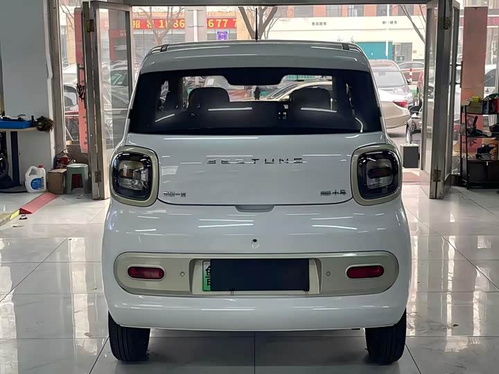 Фото 4 - Bestune Pony