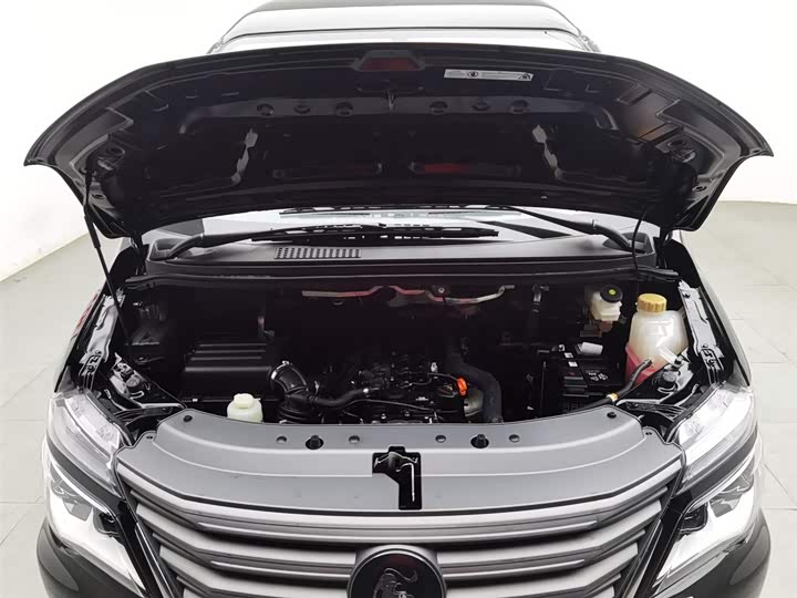 Фото 6 - Dongfeng Forthing Lingzhi M5