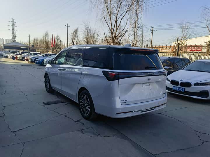 Фото 6 - Buick GL8 Hybrid