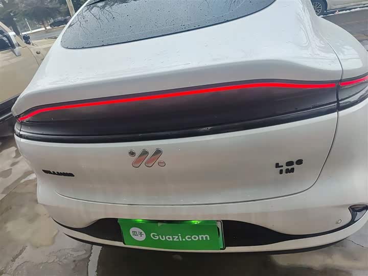 Фото 6 - IM motors LS6