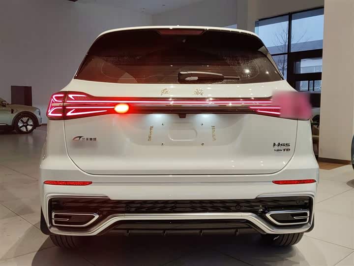 Фото 6 - Hongqi HS5