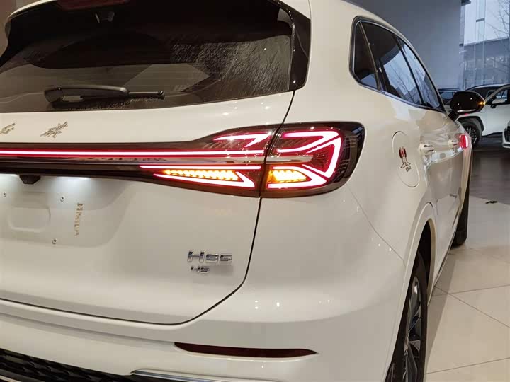 Фото 8 - Hongqi HS5