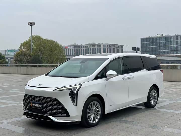 Фото 1 - Buick GL8 Century