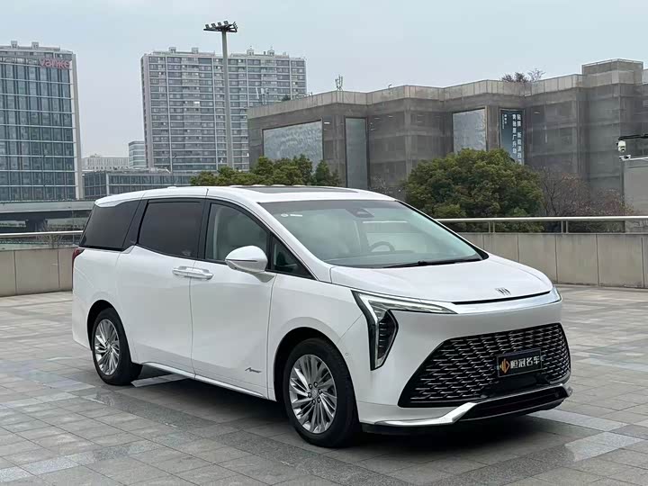 Фото 3 - Buick GL8 Century