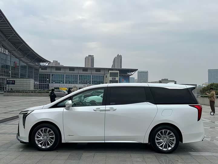 Фото 5 - Buick GL8 Century