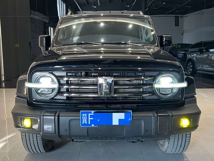 Фото 2 - Tank 300