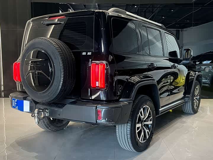 Фото 4 - Tank 300