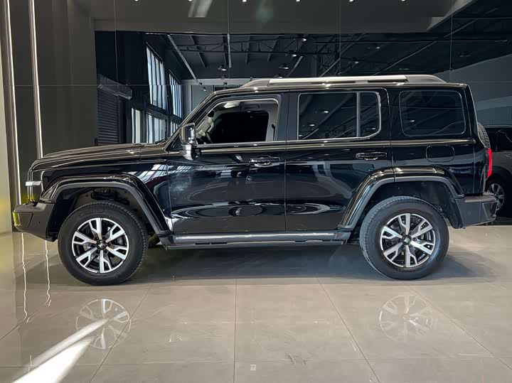 Фото 5 - Tank 300