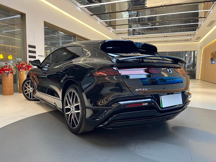 Фото 4 - Denza Z9GT