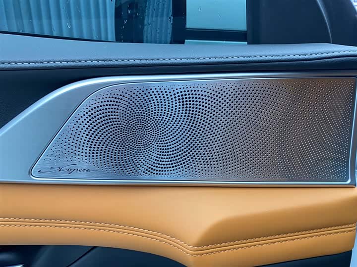 Фото 9 - XPeng G9