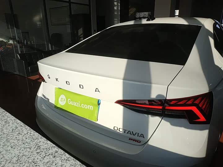 Фото 6 - Skoda Octavia Pro