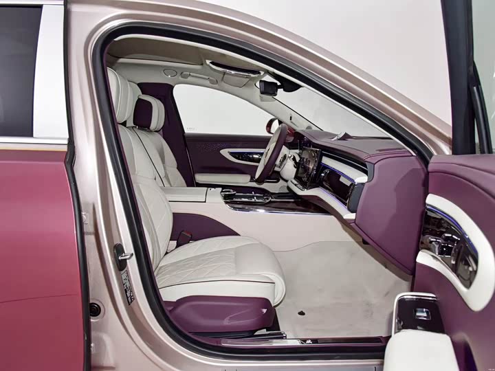 Фото 8 - Hongqi L1 (Guoya)