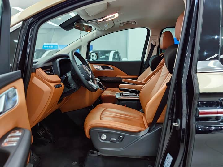 Фото 4 - Hongqi HQ9 Hybrid