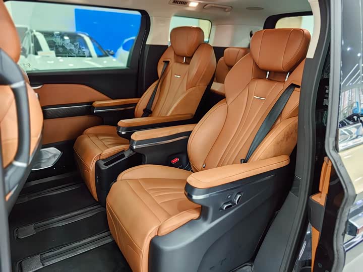 Фото 5 - Hongqi HQ9 Hybrid