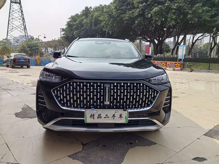 Фото 2 - Wey Mocca Hybrid