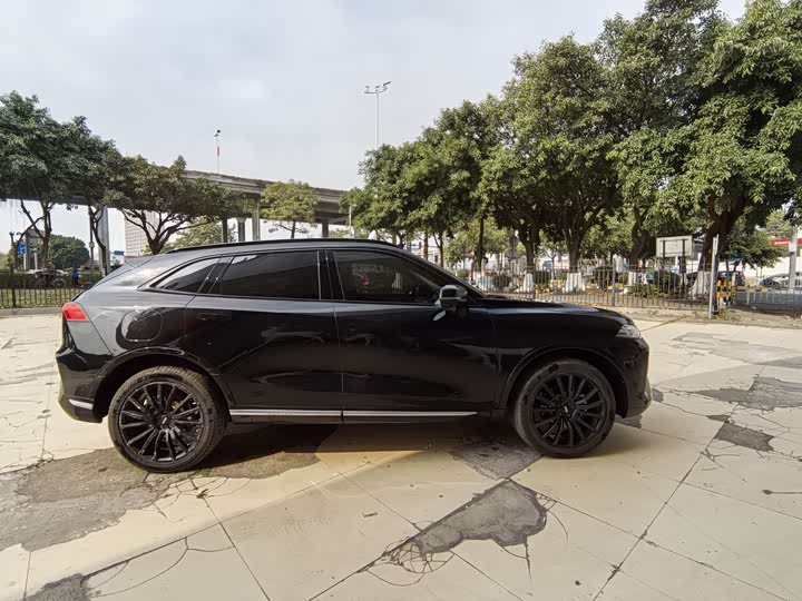 Фото 4 - Wey Mocca Hybrid