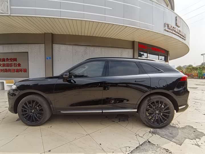 Фото 8 - Wey Mocca Hybrid