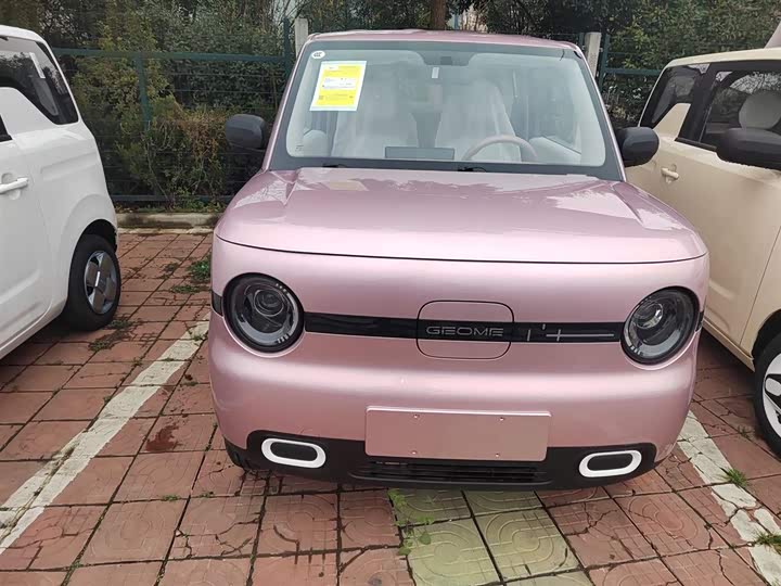 Фото 3 - Geely Galaxy Panda Mini