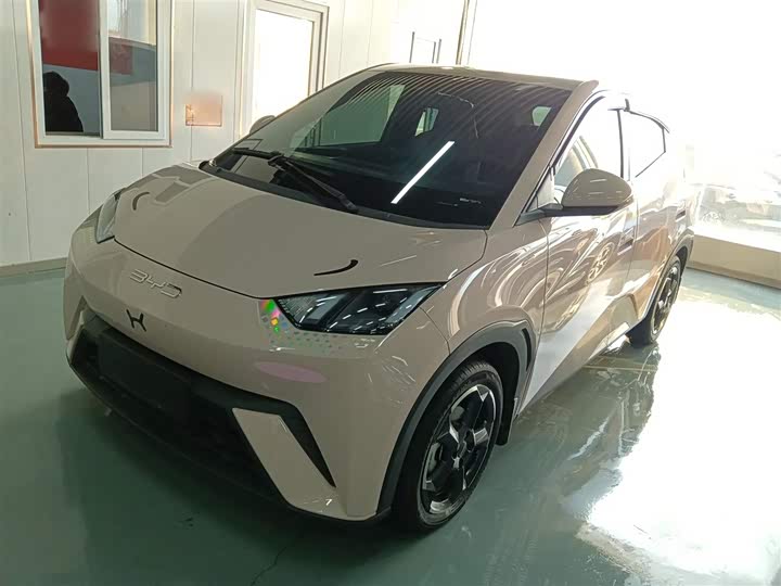 Фото 1 - BYD Seagull