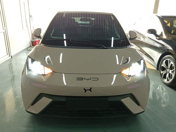 Фото 3 - BYD Seagull