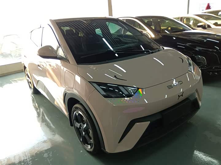 Фото 4 - BYD Seagull