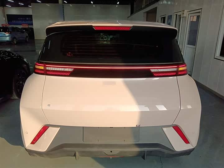 Фото 6 - BYD Seagull