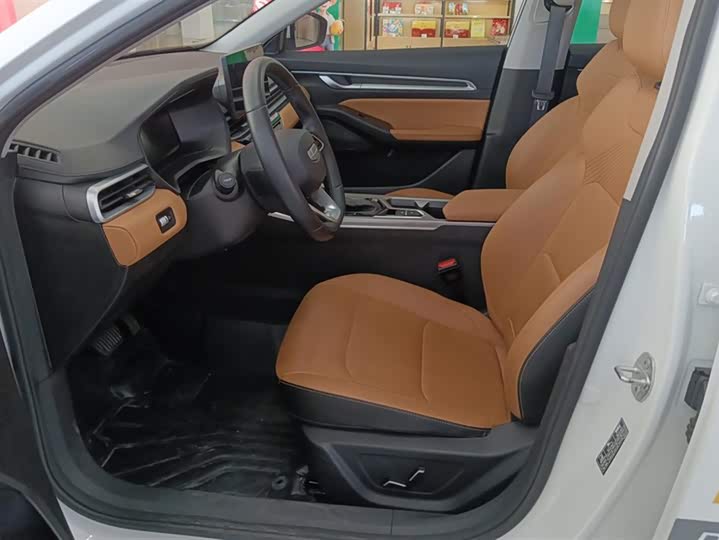 Фото 9 - Geely Emgrand