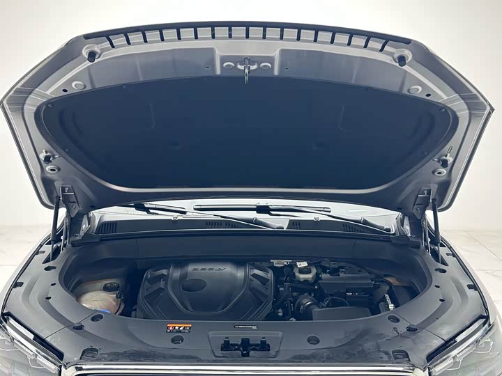 Фото 5 - Geely Monjaro