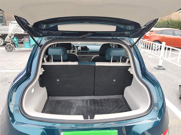 Фото 9 - Ora Good Cat (03)