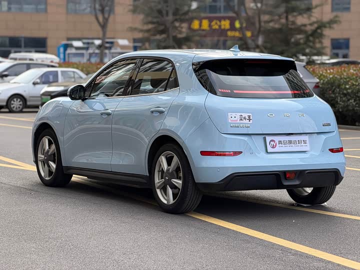 Фото 6 - Ora Good Cat (03)