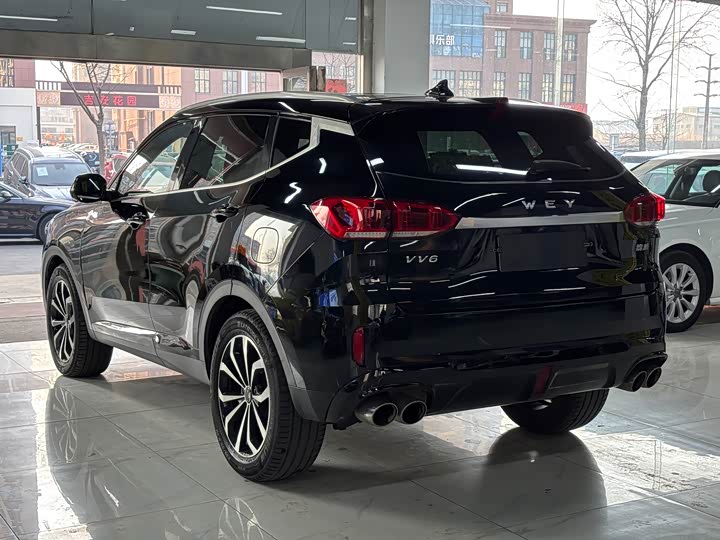 Фото 6 - Wey VV6