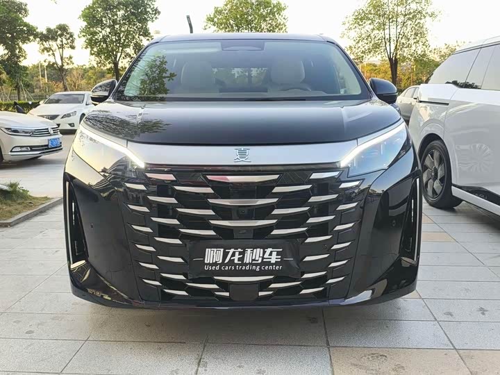 Фото 2 - BYD Xia