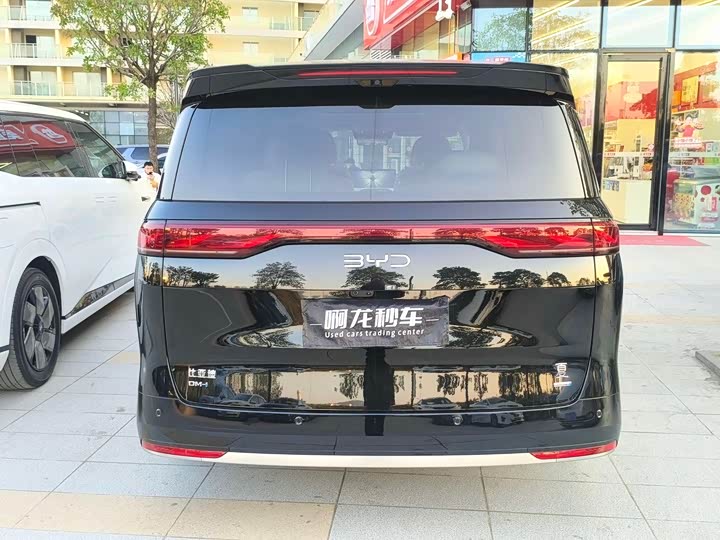 Фото 4 - BYD Xia