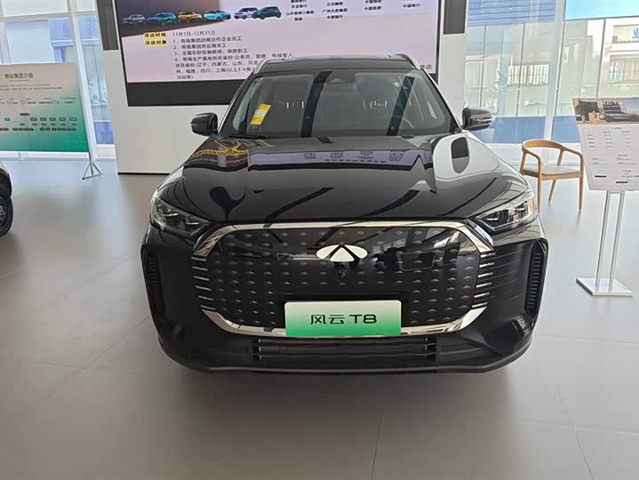 Фото 2 - Chery Fulwin T8