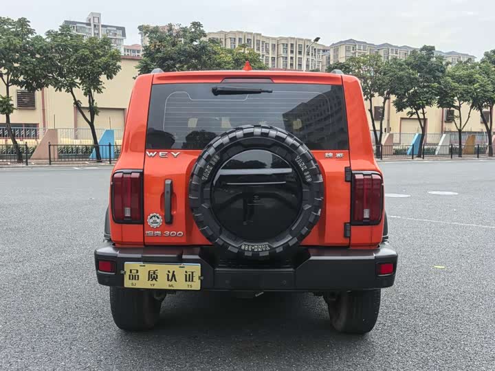 Фото 8 - Tank 300