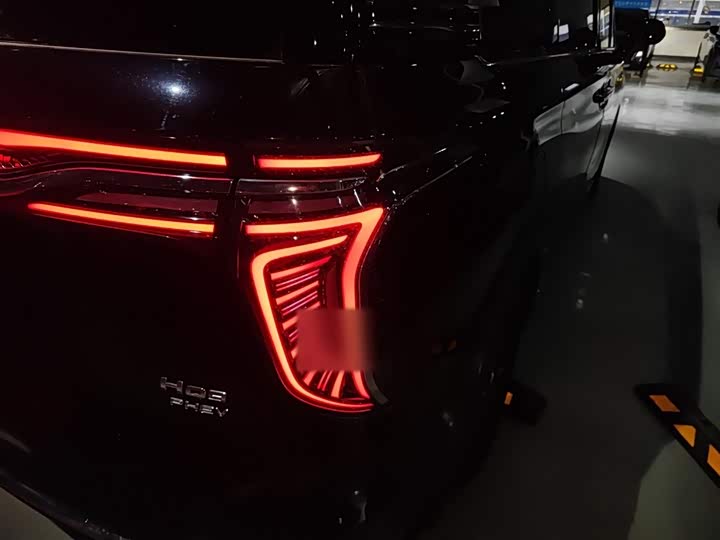 Фото 8 - Hongqi HQ9 Hybrid