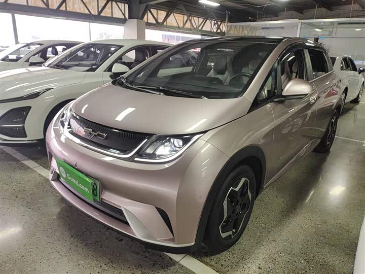 Фото 2 - BYD Dolphin