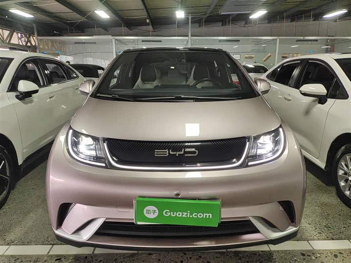 Фото 3 - BYD Dolphin