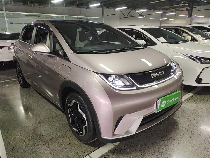 Фото 4 - BYD Dolphin