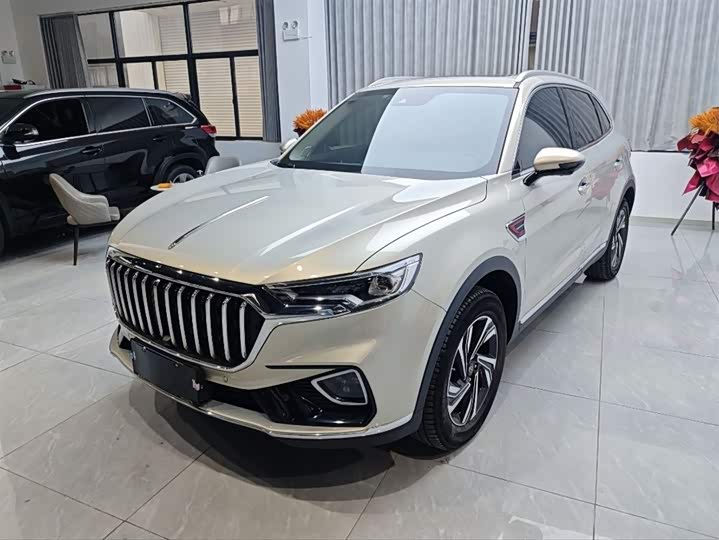 Фото 1 - Hongqi HS5