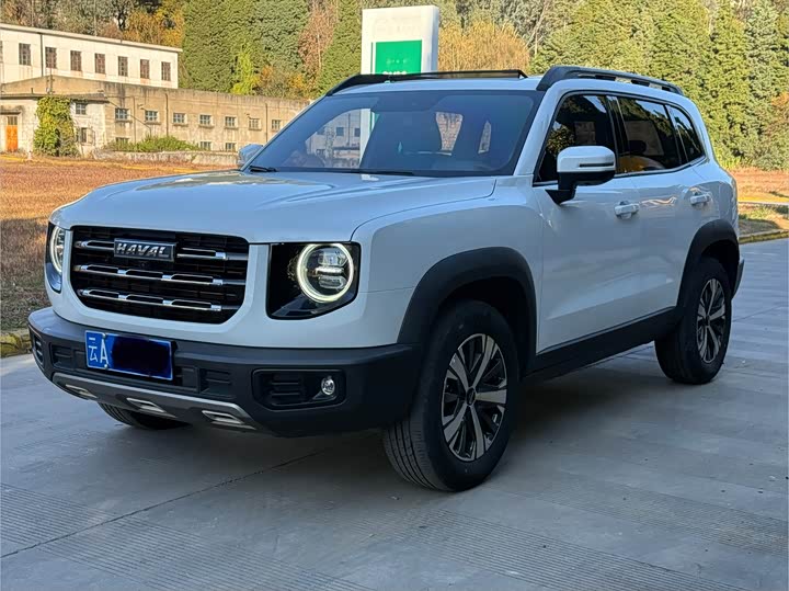 Фото 1 - Haval Dargo