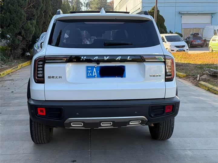 Фото 5 - Haval Dargo