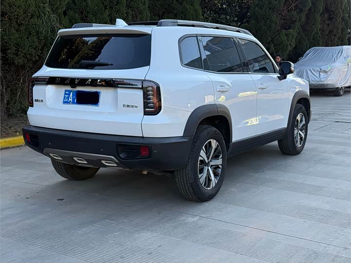 Фото 6 - Haval Dargo