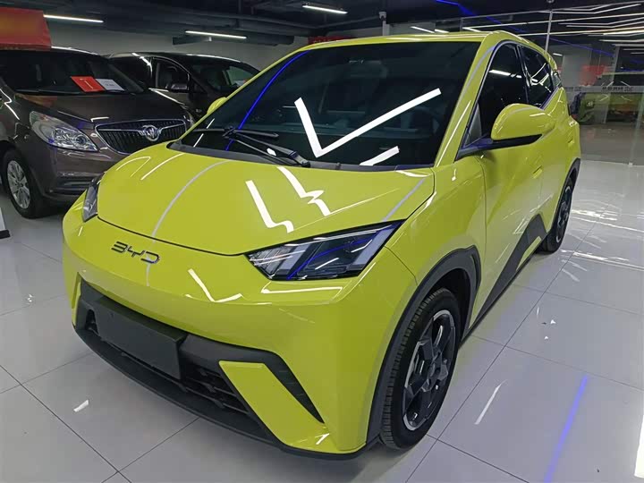 Фото 2 - BYD Seagull