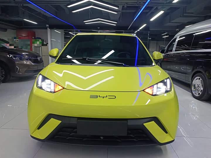 Фото 3 - BYD Seagull