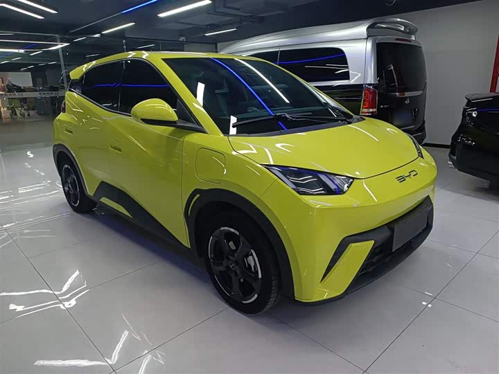 Фото 4 - BYD Seagull