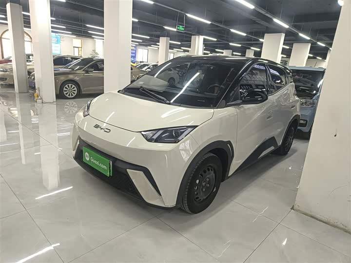 Фото 1 - BYD Seagull