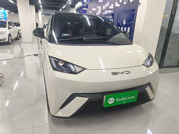 Фото 3 - BYD Seagull