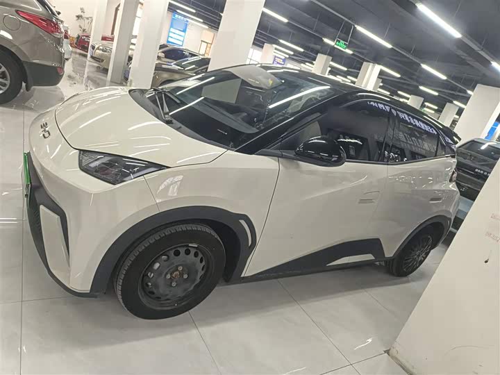 Фото 5 - BYD Seagull