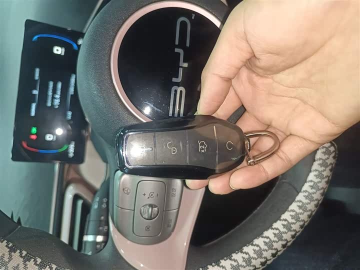 Фото 9 - BYD Seagull